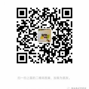 早场澳超   珀斯光荣vs墨尔本城