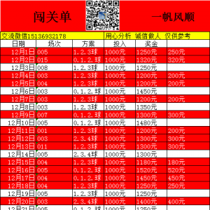 墨尔本城vs布里斯班