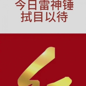 悉尼FCVS惠灵顿
