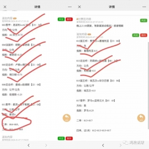 澳超:阿德莱德vs麦克阿瑟
