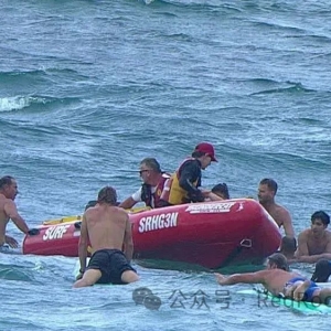 悉尼惊魂!25名游客海滩突遇离岸流,生死存亡之际突然.....