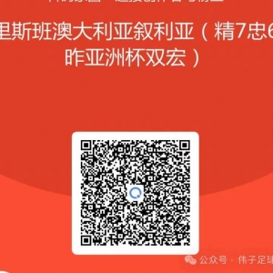 13忠9,布里斯班澳大利亚叙利亚
