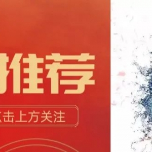 今日公推:布里斯班狮吼VS麦克阿瑟FC