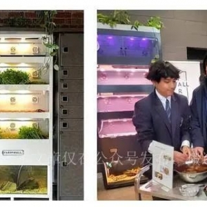 农业条件得天独厚的澳大利亚,在代表未来的垂直农业上也领先布局