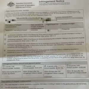 中国人刚落地澳洲, 直接被罚17000! 海关规定修改, 轻则罚款, 重则当场遣返! 可能还要坐牢