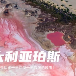澳大利亚 | 不是吧?躺着玩八天?
