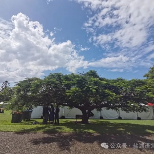 澳洲之旅随笔