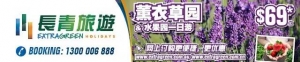 墨尔本中文宣传片—我们如此幸运,和这座美丽的城市一起生活与成长!