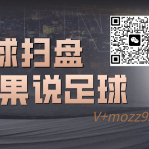 【足球】【澳超、五大联赛】布里斯班VS墨尔本胜利,布里斯班主场致胜?