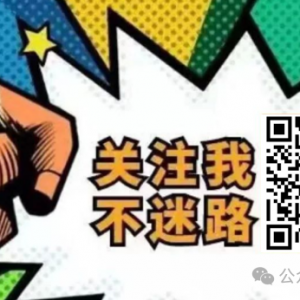 奥超:悉尼vs布里斯班使狮吼