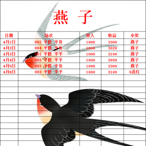墨尔本胜利对战墨尔本城