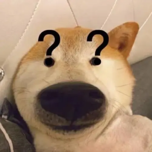 澳洲留学六大热门专业推荐,文科生必看!