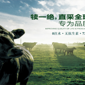 犊一绝澳洲和牛美味的秘密都告诉你了!还不来尝尝吗!