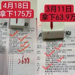 澳超 布里斯班狮吼VS阿德莱德联,攻守对决谁主沉浮?! 推荐扫盘9中9!
