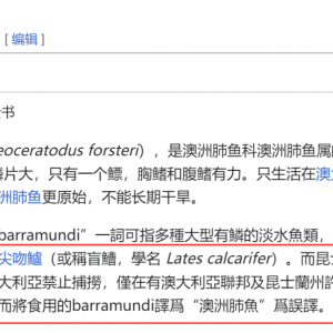 澳洲少年钓了一条鱼,价值$100万
