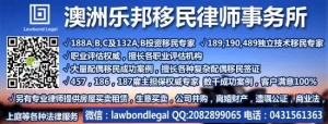 悉尼一只不起眼的兔子,却引发了全城接力,数千人疯狂转发...网友们都被暖哭了,这才是澳大利亚!