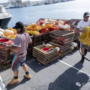 澳大利亚水果重返中国货架:中澳贸易波折后的华丽转身