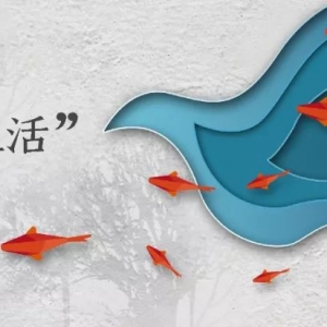 水中飞燕 || 澳大利亚蓝眼燕子原生地探秘