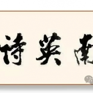 新作展播  ll  澳洲归来谒母坟