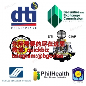 印尼-澳大利亚技能发展交流 (SDE) 计划导航