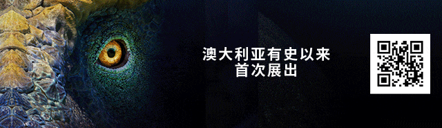 墨尔本人注意,本周末别进城!