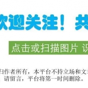 澳洲锰矿出口受飓风影响,价格持续上涨