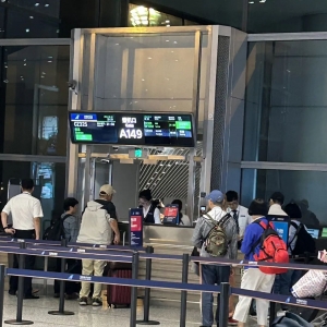 澳大利亚探亲记