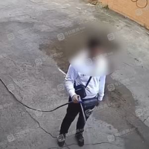 偷电脑、盗刷,更暴窃6部车!澳洲teens猖狂作案,华女频频蒙损!