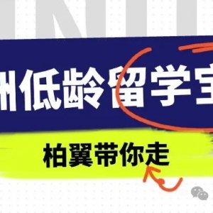澳洲海归精英回国当公务员,八大名校生成“香饽饽”!