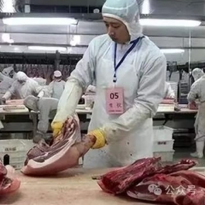 澳洲大型肉厂面试修肉工