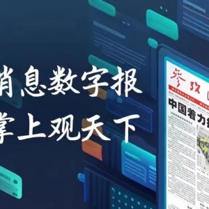 一直升机在澳大利亚坠毁