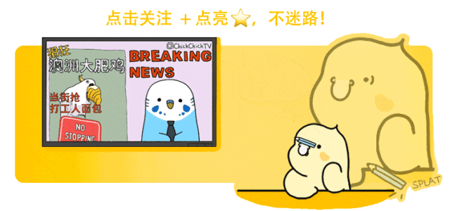 打开窗户阳台站满鹦鹉!在澳洲“人手一只大葵花”这么夸张?来看看一位澳洲居民的日常