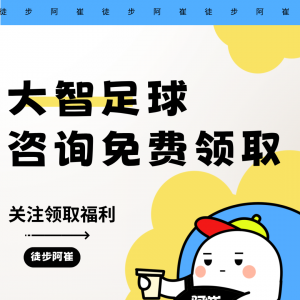 大智足球合拼:武磊因伤无缘出战澳大利亚