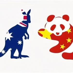 周四001 世预赛:澳大利亚 VS 中国,足协给到压力,不赢没生蚝了,国足能爆发吗?