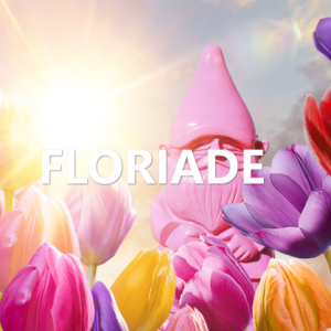 【花海盛宴】澳大利亚超过一百万朵的盛大花展!＂赏花专线＂!​赠送精致美味自助午餐!喜迎37周年盛大精彩活动!