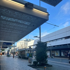 澳洲八大狂减2万名额,中国学生申请难度飙升