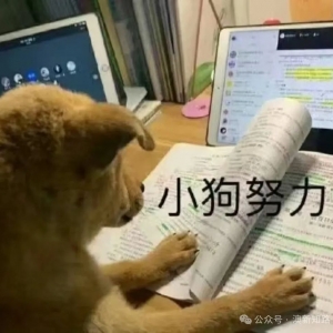澳洲留学必看!八大院校申请专业数量汇总