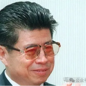 前云南省委书记高严外逃至澳洲,落魄后竟被小混混活活打死?
