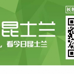 布里斯班CBD现越南社区抗议活动!大批人士参与,高喊激进口号