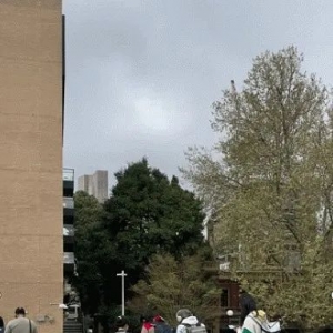 一半是中国人!澳洲物价疯涨,墨大免费早餐受热捧,华人留学生扎堆排队领包子