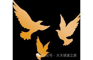 澳大利亚vs沙特