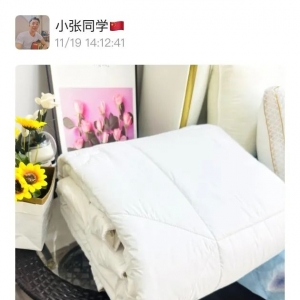 澳洲羊毛被￥119