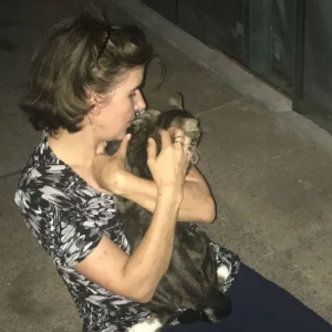 澳洲姑娘生前在沪照顾流浪猫16年,现在开始我们都是她的娘家人