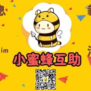 布里斯班市中心爆发越南社区反华示威活动,大批越南示威者手持反华标语高喊排华口号