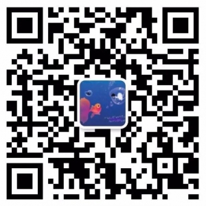 澳洲对中国开放10年签,新项目NIV签证开放申请