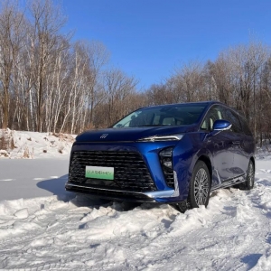 豪华陆地头等舱,澳洲进口羊毛地毯,6K曲面屏,这台插混MPV太尊了!