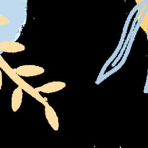 澳洲留学政策出现重大转变,留学生究竟是喜还是忧?