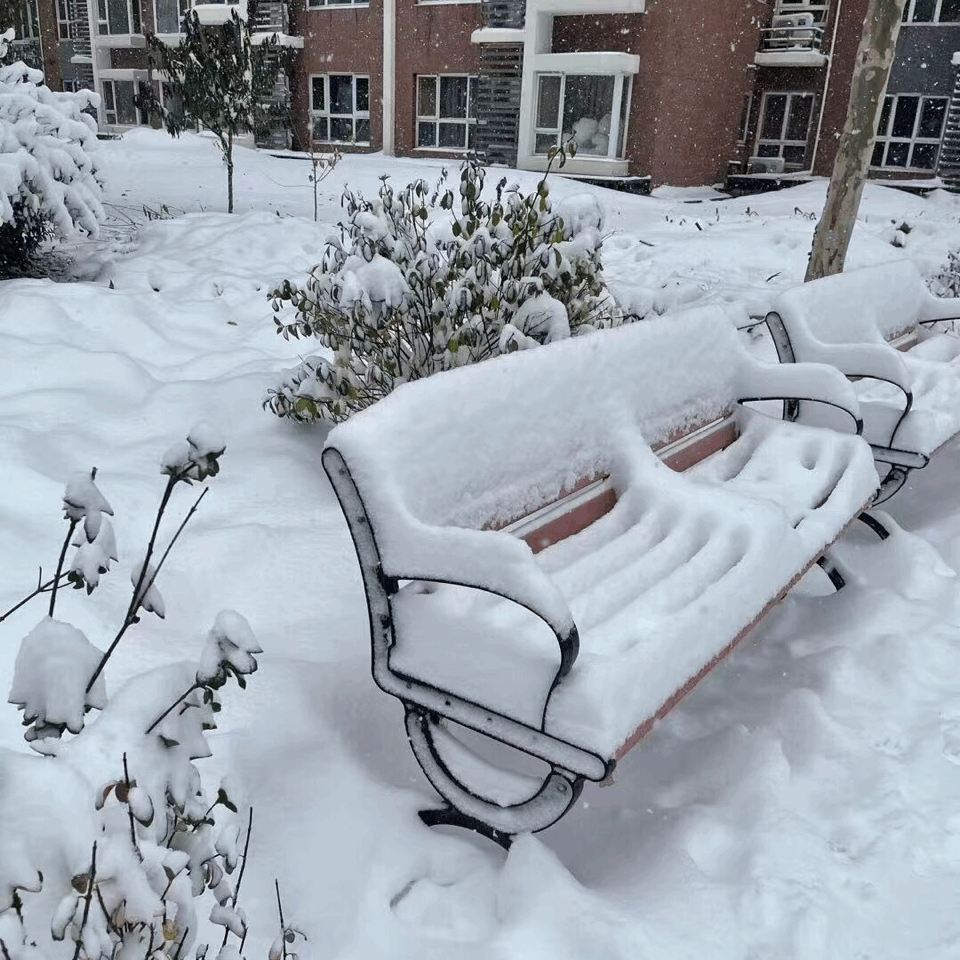 墙裂推荐!明星同款【雪地靴】澳洲进口羊皮毛,御寒必备!性价比惊人!