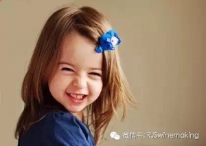 春节送礼——选澳洲喜力