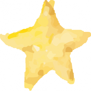 澳洲留学必看!六大城市全方位大比拼